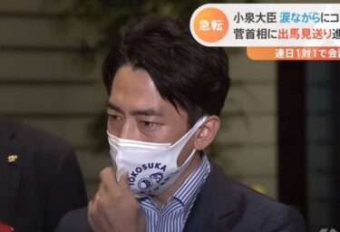 小泉進次郎が菅首相退陣で涙する違和感から理由～ポエムな性格を調査！